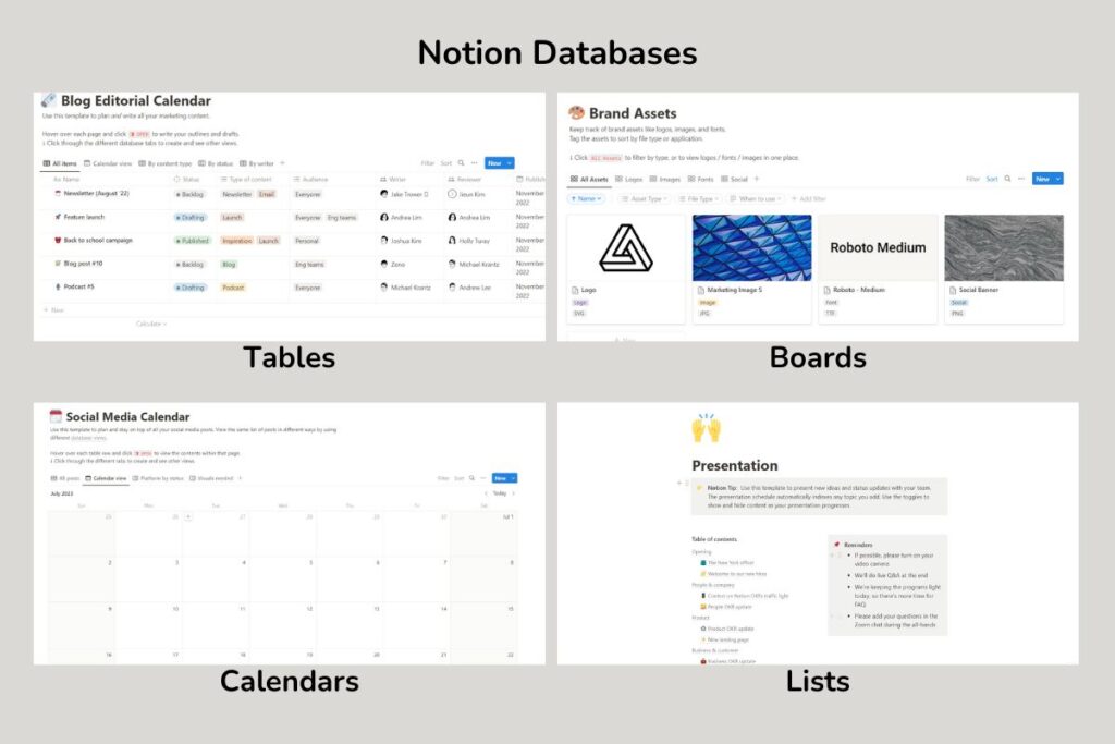 notion databases