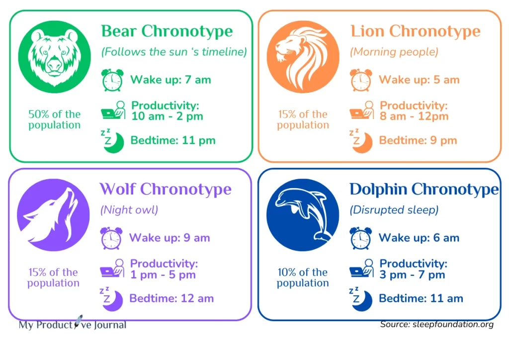 Relationship between Chronotype and Productvity