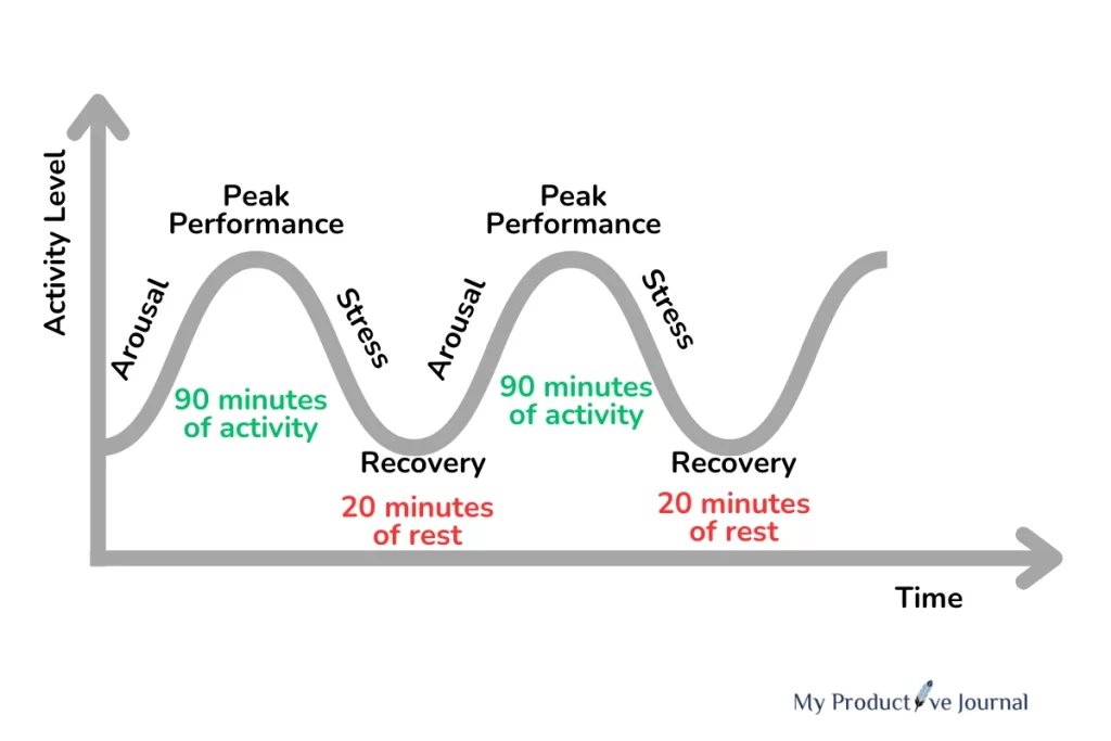 Relationship between Ultradian Rhythm and Productvity